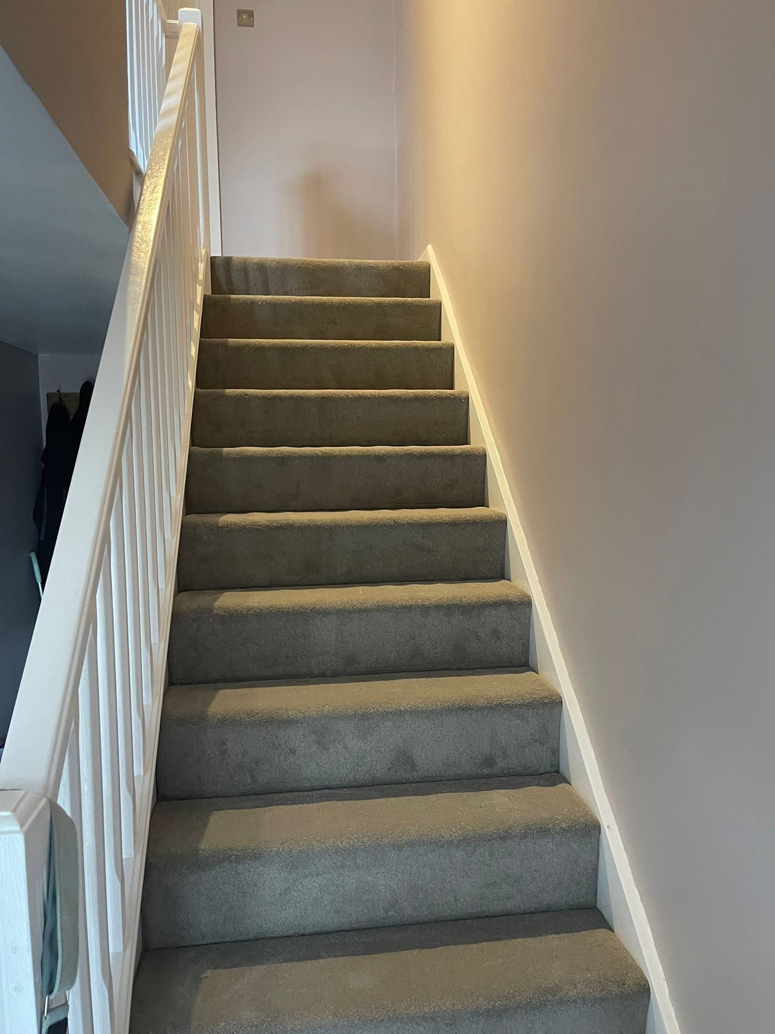 Eco-friendly carpet option supplied and fitted by Ace Floors