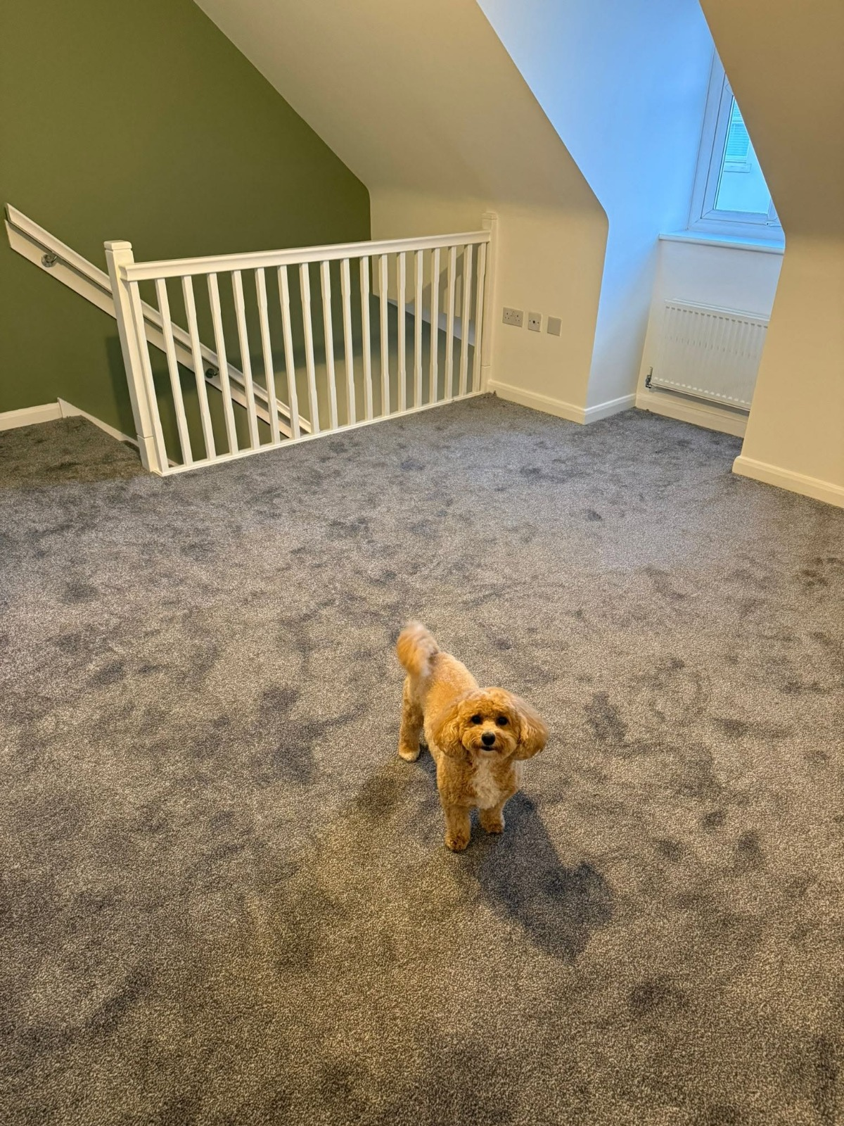 Quality carpet fitted in a local home
