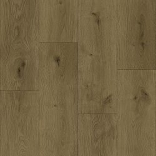 Warm Oak Plank