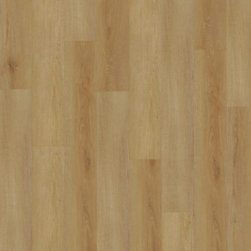 Amber Oak