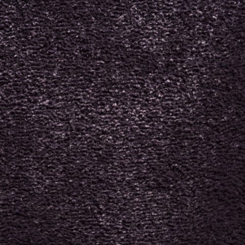 Aubergine